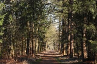 wandelen - herfst - keurdokter - gezond