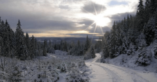 The Winter Games - Keurdokter