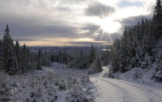 The Winter Games - Keurdokter